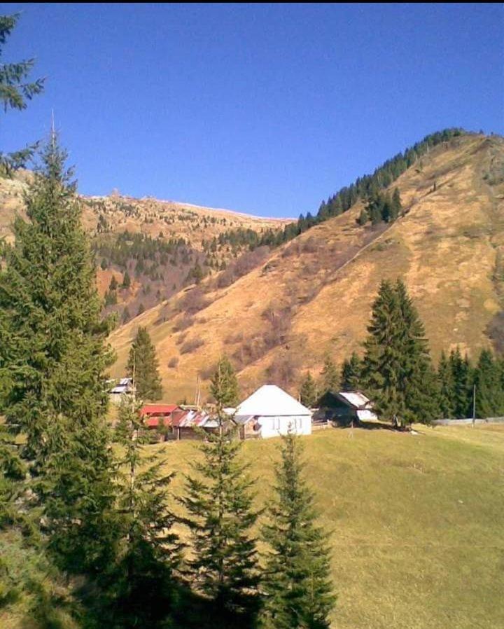 Isov Ranch Villa Plav Exterior photo